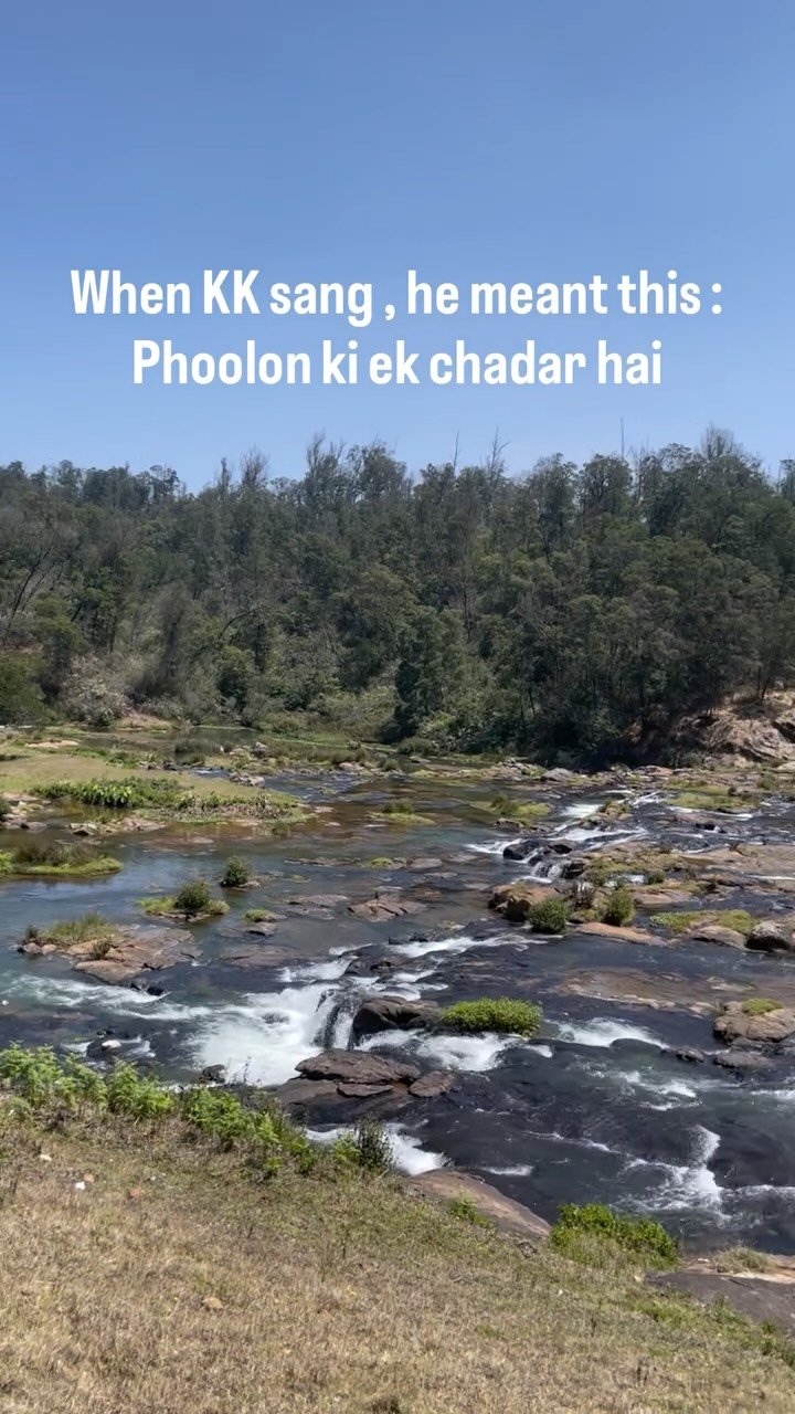 ashij_official photo