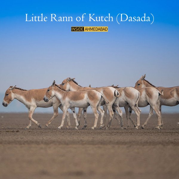 insideahmedabad photo