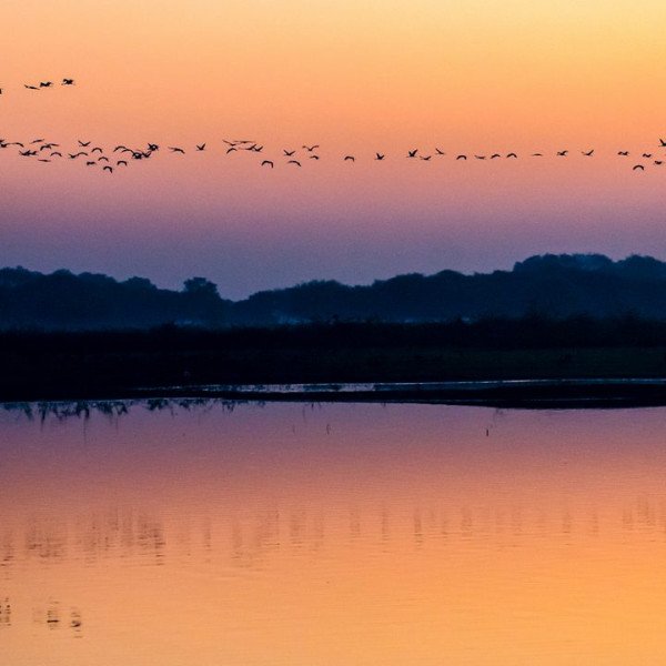 insideahmedabad photo