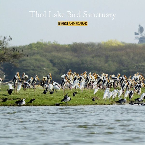 insideahmedabad photo