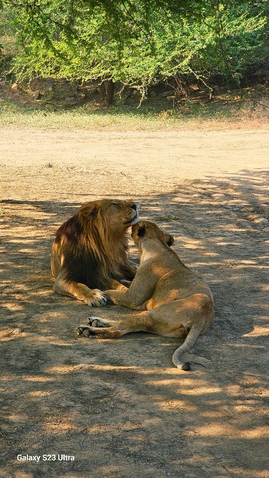 ishittapanchaal photo